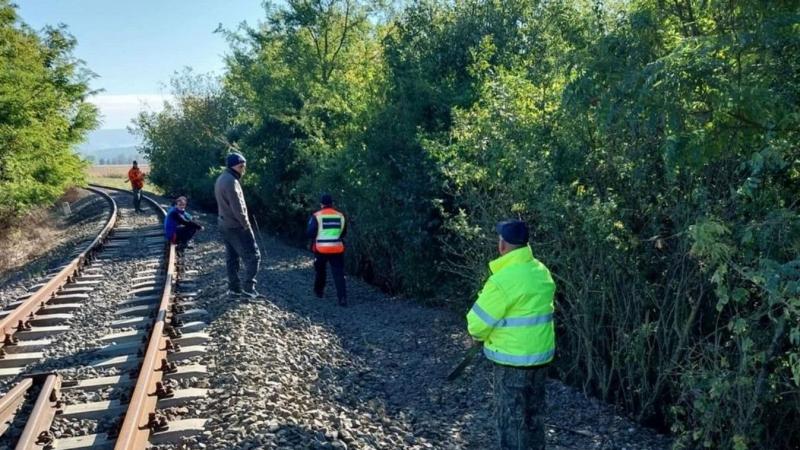 A Borsod megyei rémálom továbbra is tart: a nő a lucernás felé vette az irányt, és ekkor látták utoljára.