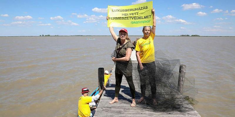 A bíróság felmentette Udvaros Dorottyát, valamint a Greenpeace aktivistáit.