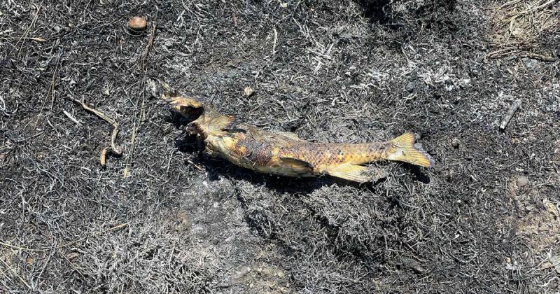 Kanadában egy különös esemény következtében tűz keletkezett, amelyet az égből lezúduló meteor okozott.