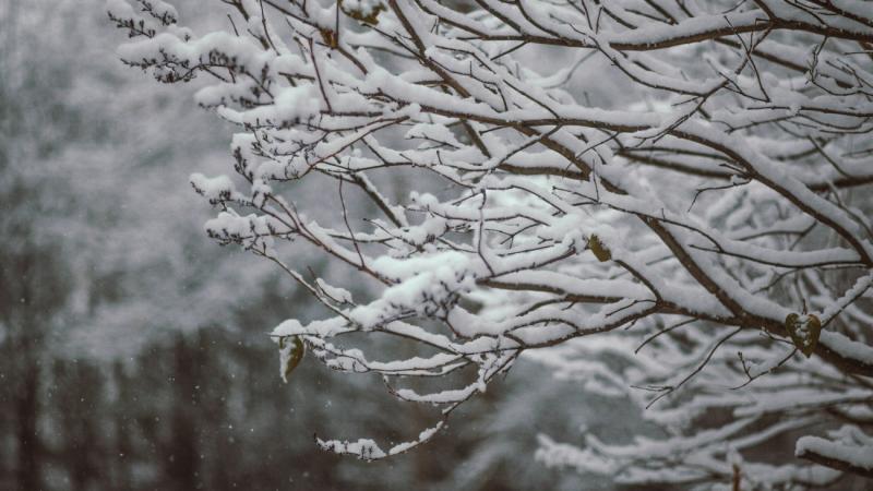 Németh Lajos meteorológus megosztotta véleményét arról, hogy mikor köszönt be a valódi tél.